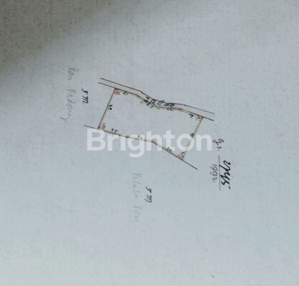 Tanah Kebun Salak Di Tabanan