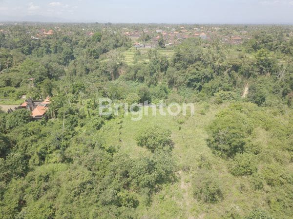 Tanah Langka Di Jalan Utama Tegenungan Kemenuh Ubud