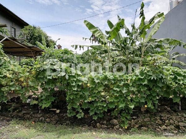 Tanah 5 Are Strategis Akses 2 Jalan Di Kori Nuansa