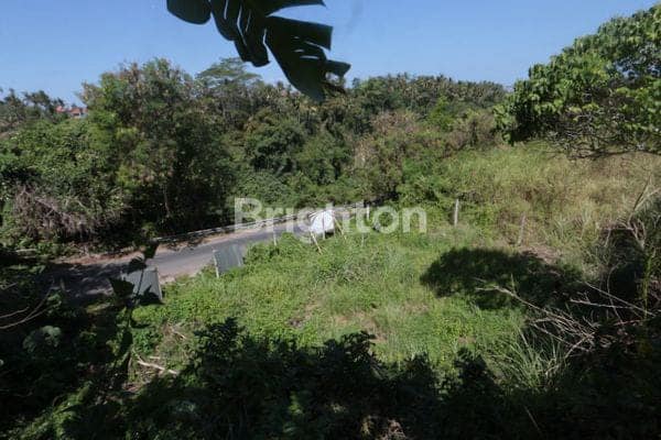 Tanah Langka Di Jalan Utama Tegenungan Kemenuh Ubud