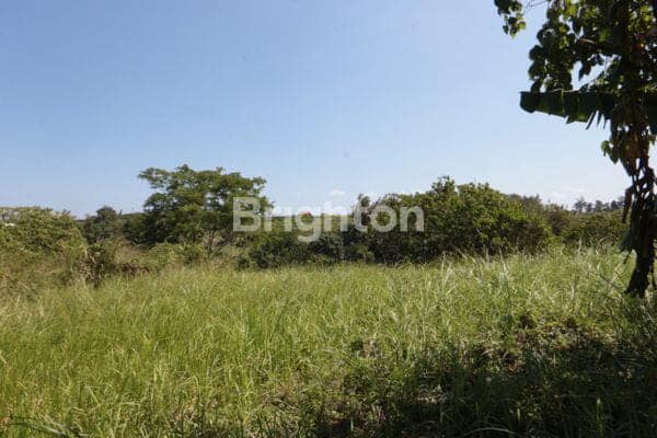 Tanah Langka Di Jalan Utama Tegenungan Kemenuh Ubud