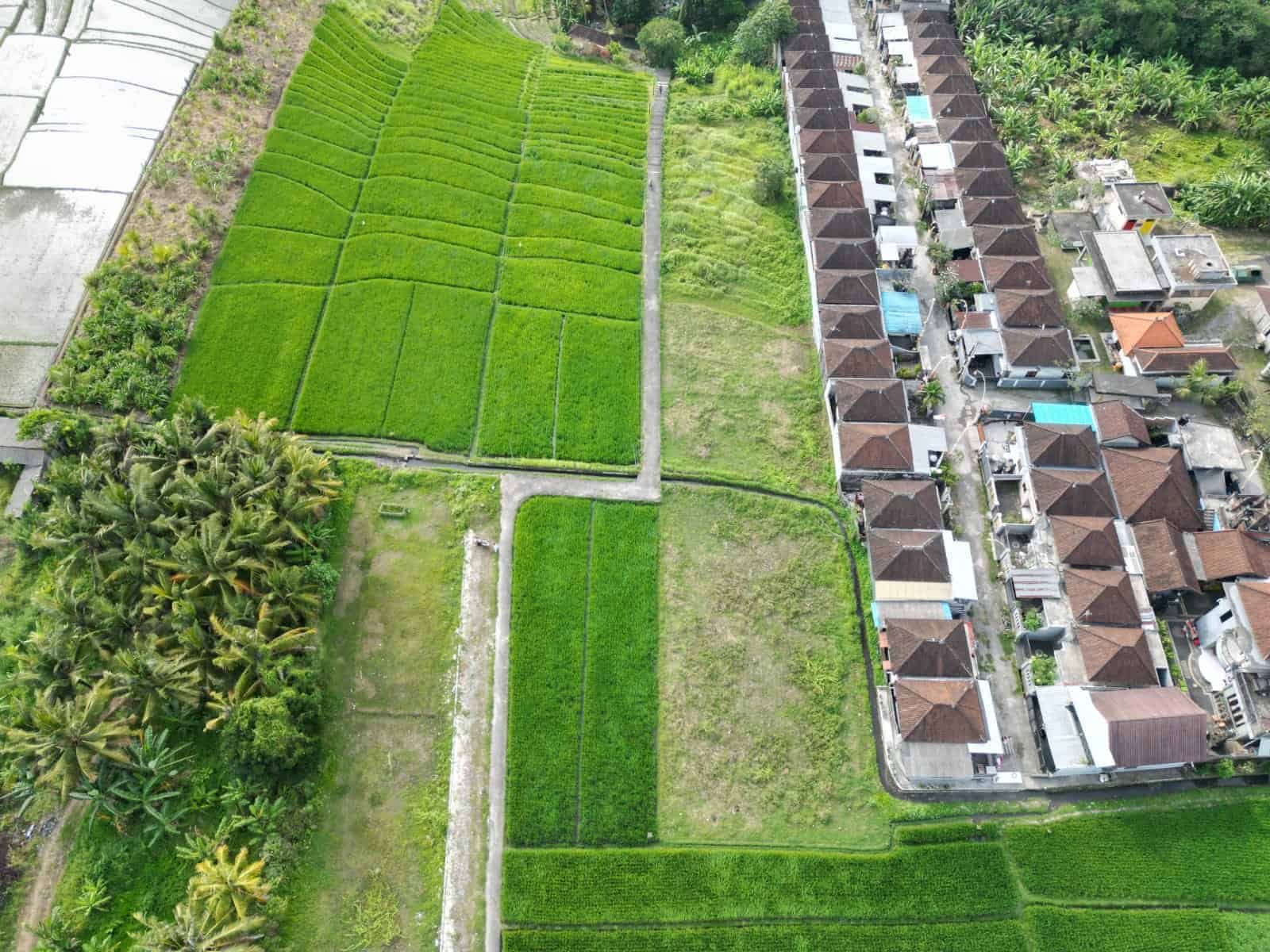 Villa Dengan View Sawah, Dapat Sungai Istimewa, Hanya 10 Menit Ke Pantai di Kedungu Tabanan.
