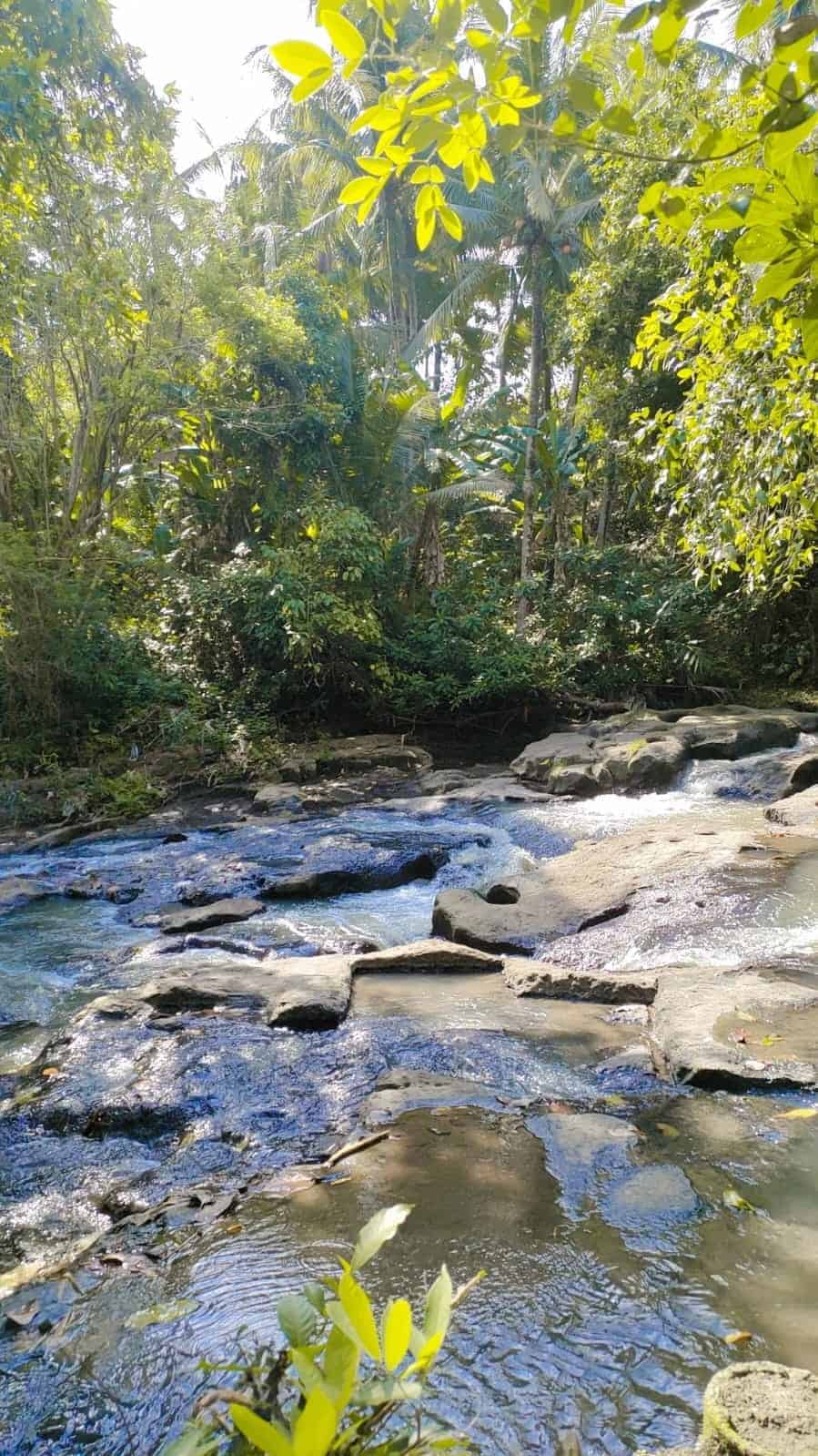 Villa Dengan View Sawah, Dapat Sungai Istimewa, Hanya 10 Menit Ke Pantai di Kedungu Tabanan.