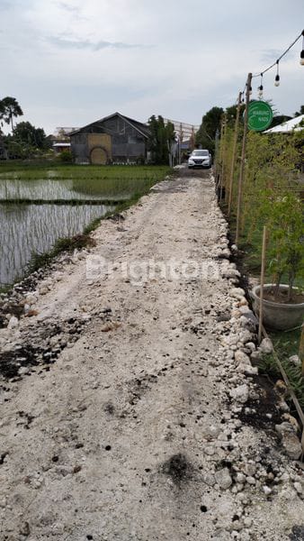 Tanah 3,7 are Di Umalas Area Villa Dan Cafe