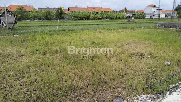 Tanah 3,7 are Di Umalas Area Villa Dan Cafe