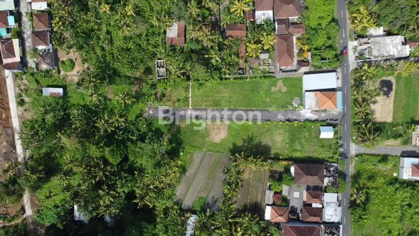 Tanah Kavling Di Bongan Tabanan