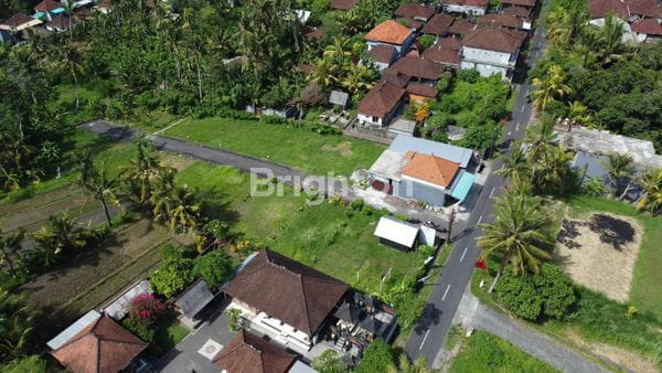 Tanah Kavling Di Bongan Tabanan