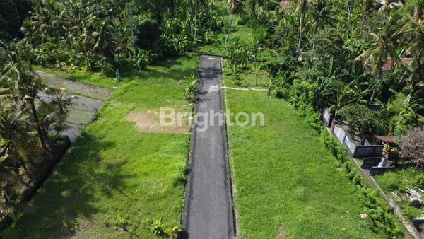 Tanah Kavling Di Bongan Tabanan