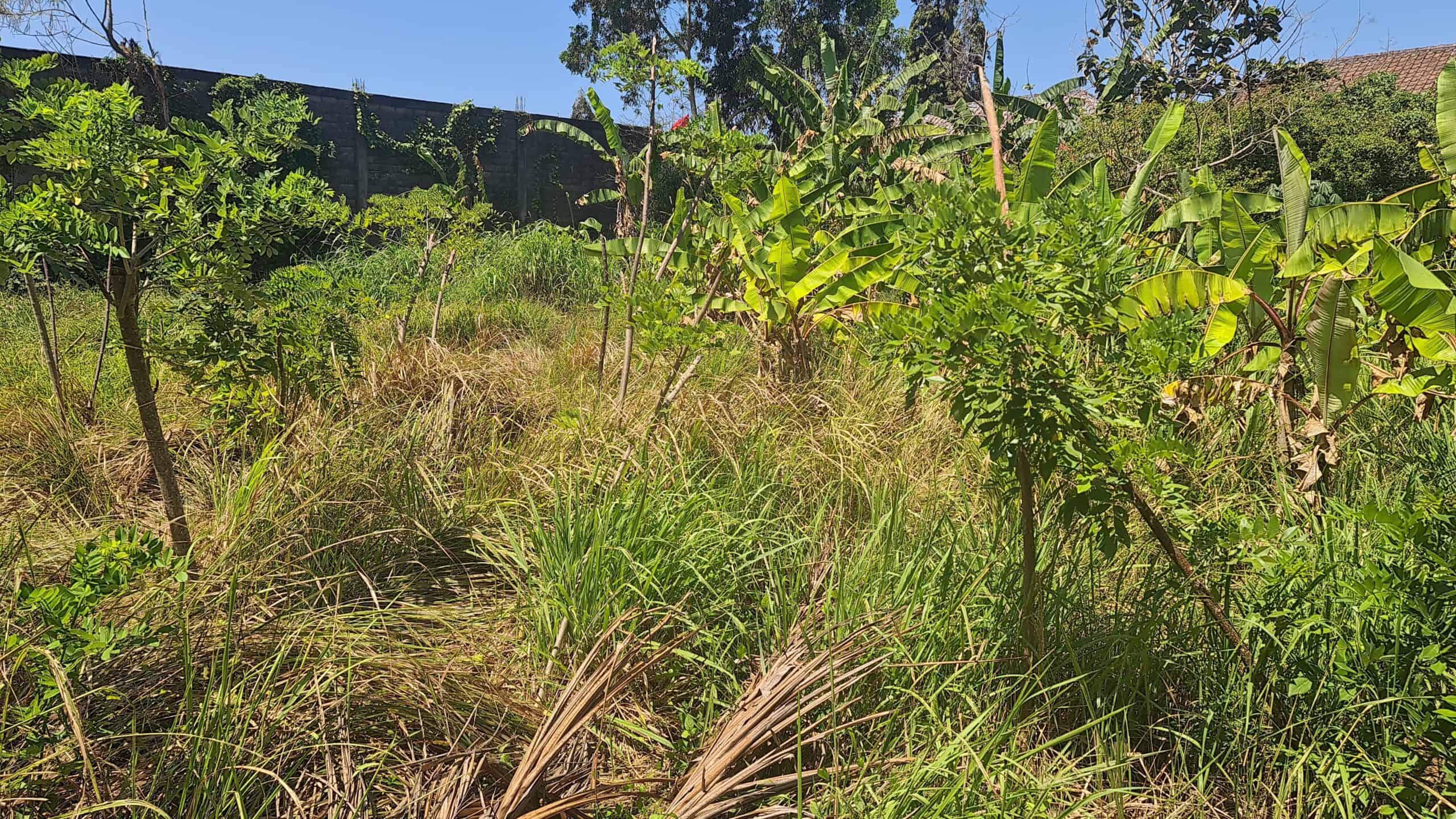 Tanah 30 Are Lolasi Super Strategis Di Jalan Uluwatu Pecatu Bali