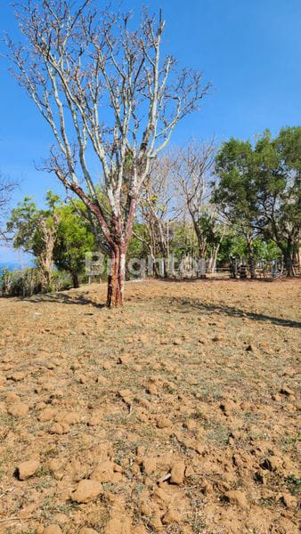 Tanah 70 Are Di Bugbug Karangasem