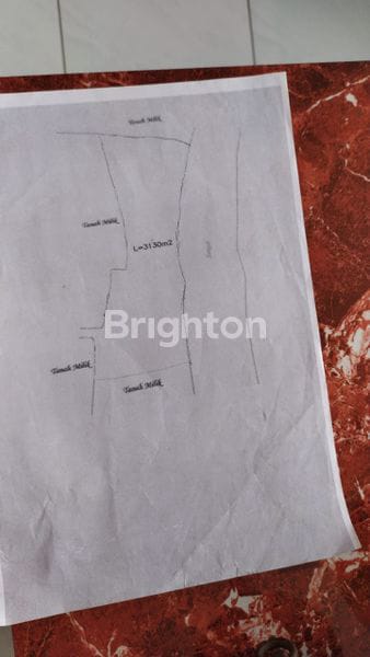 Tanah 34,15 Are Dekat Nuanu Di Desa Pandak Gede Kediri Tabanan