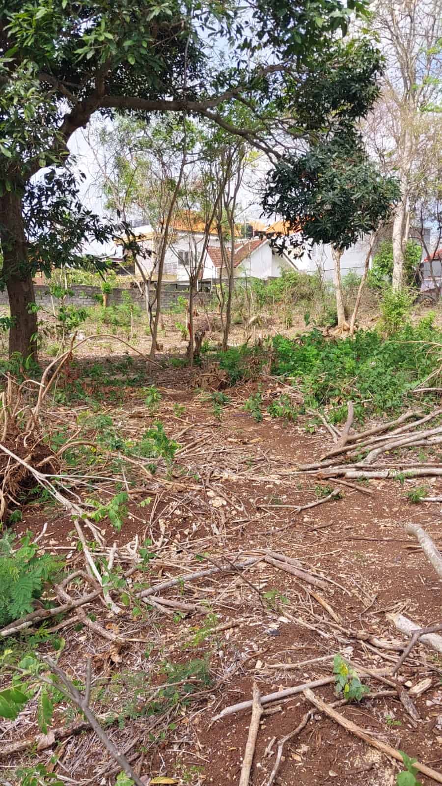 Tanah 3 Are Di Jalan Raya Jimbaran