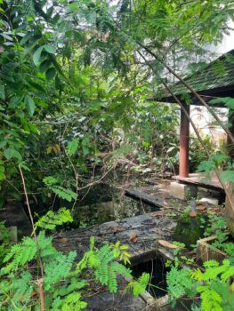 Rumah Di Gatsu I Denpasar